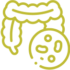 POSITIVE FOR INTESTINAL FLORA - The Farm Kitchen