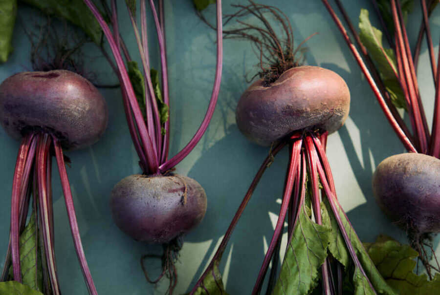 TFK Earths Own Cuisine Beets - The Farm Kitchen