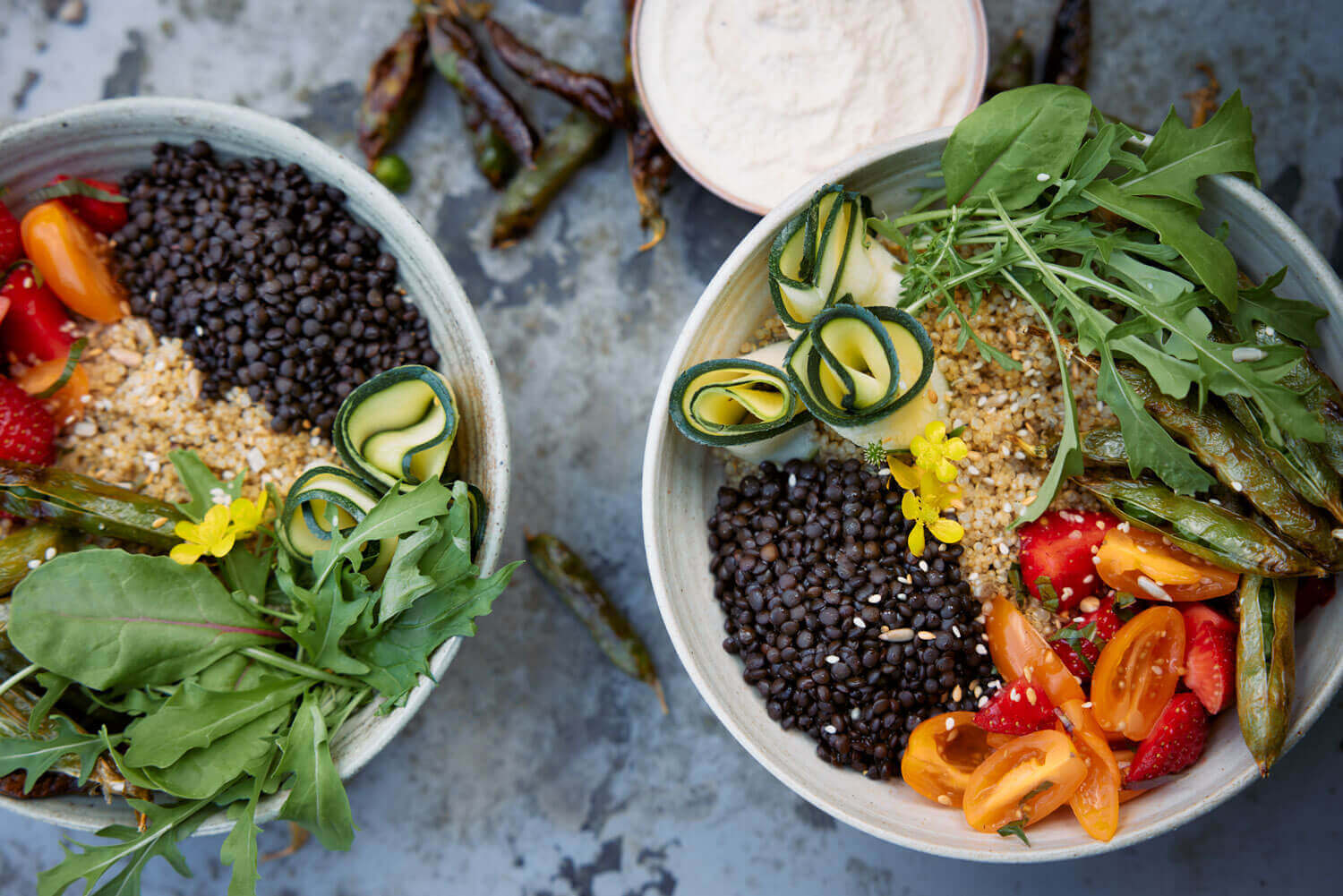 TFK Earths Own Cuisine Salad - The Farm Kitchen