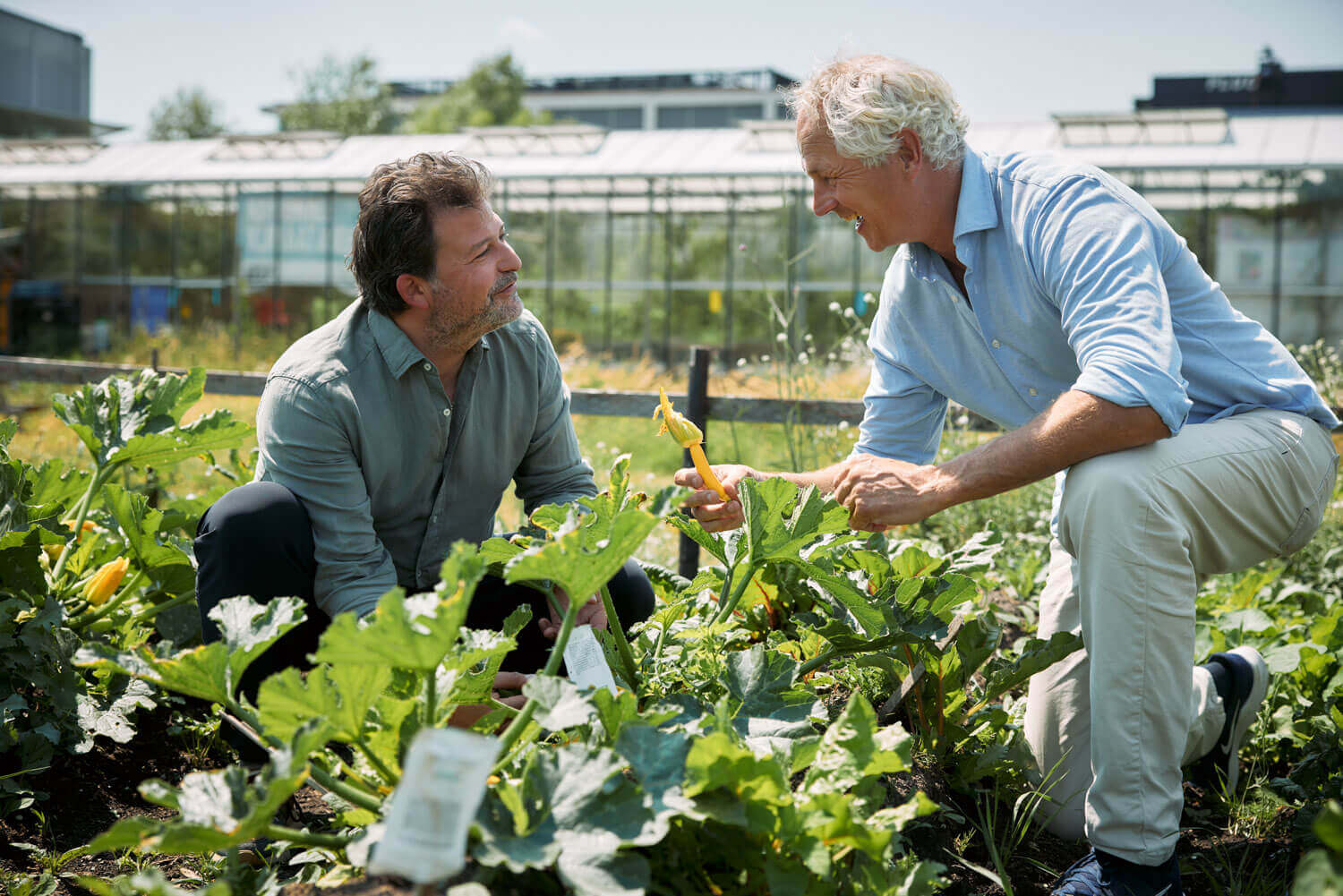 TFK Jonathan and Xander - The Farm Kitchen